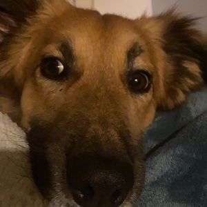 Meet your Posher, Tyrah